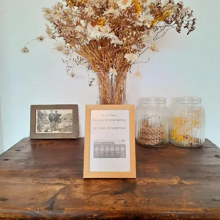 شقة T2 Vue Terrasse Sud 50m Canet-plage كانيه