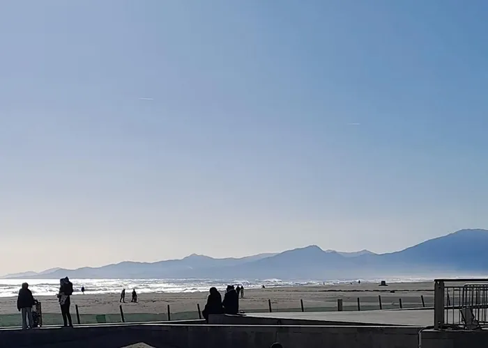 T2 Vue Terrasse Sud 50m Canet-plage Апартаменты Кане